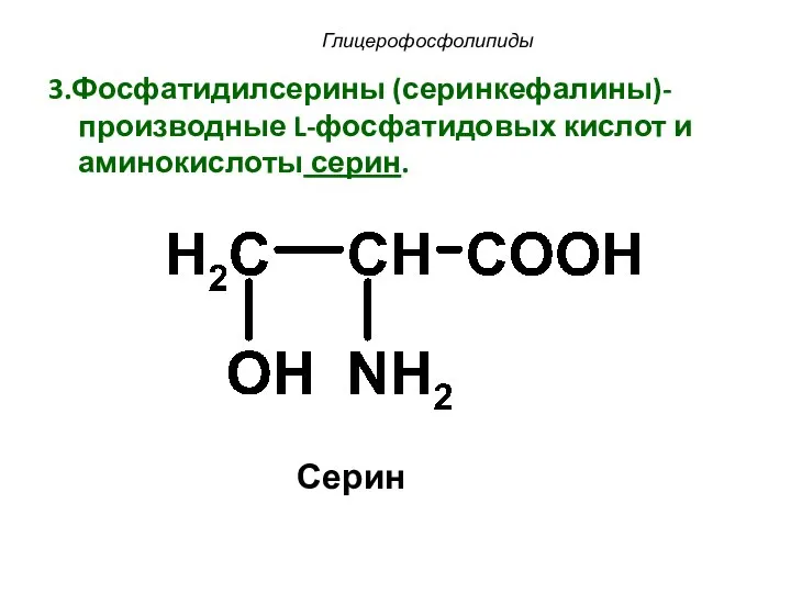 3.Фосфатидилсерины (серинкефалины)-производные L-фосфатидовых кислот и аминокислоты серин. Глицерофосфолипиды Серин