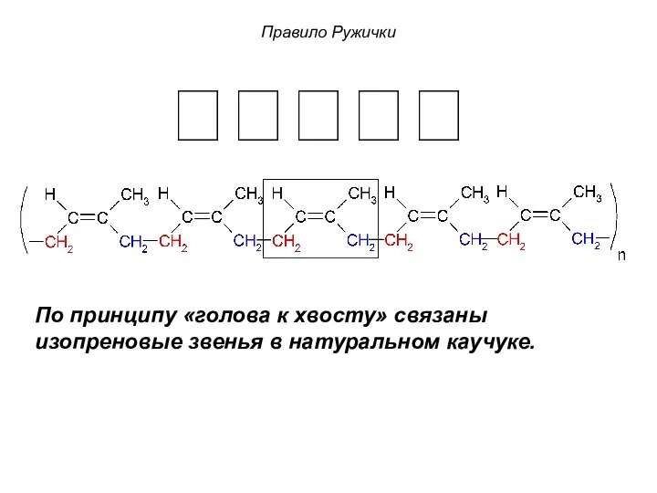 Правило Ружички  По принципу «голова к хвосту» связаны изопреновые звенья в натуральном каучуке.