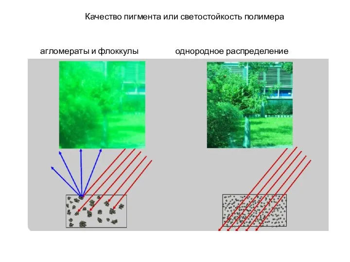 Качество пигмента или светостойкость полимера агломераты и флоккулы однородное распределение порошка