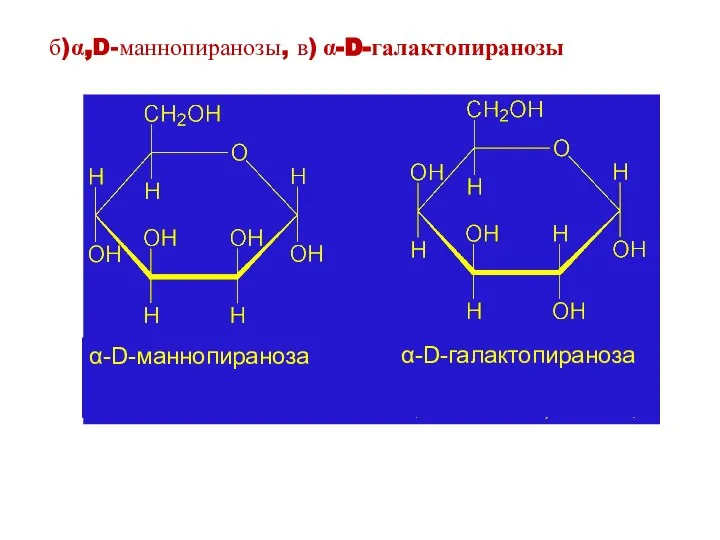 α-D-маннопираноза α-D-галактопираноза б)α,D-маннопиранозы, в) α-D-галактопиранозы