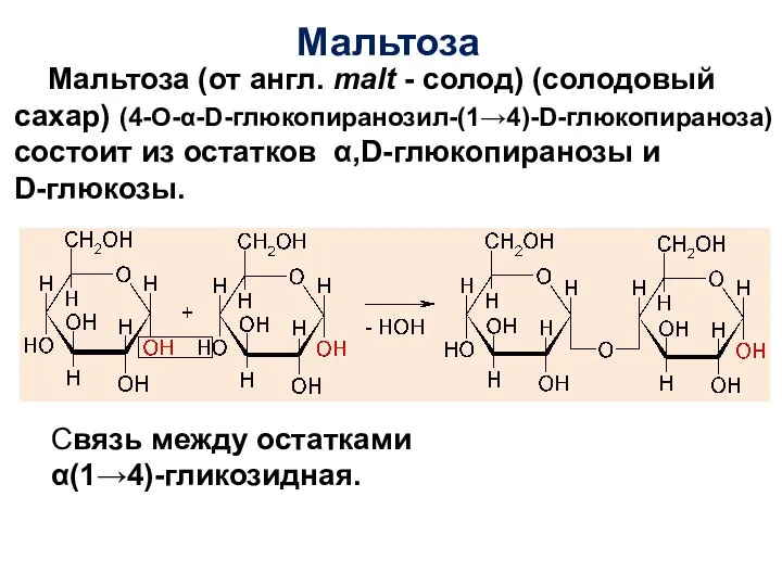 Мальтоза Мальтоза (от англ. malt - солод) (солодовый сахар) (4-О-α-D-глюкопиранозил-(1→4)-D-глюкопираноза) состоит