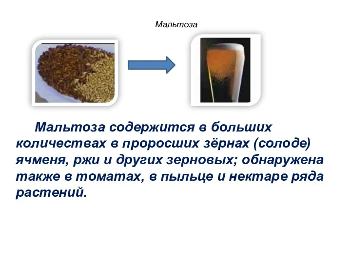 Мальтоза содержится в больших количествах в проросших зёрнах (солоде) ячменя, ржи