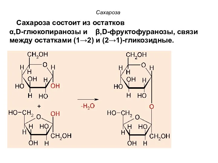 Сахароза Сахароза состоит из остатков α,D-глюкопиранозы и β,D-фруктофуранозы, связи между остатками (1→2) и (2→1)-гликозидные.