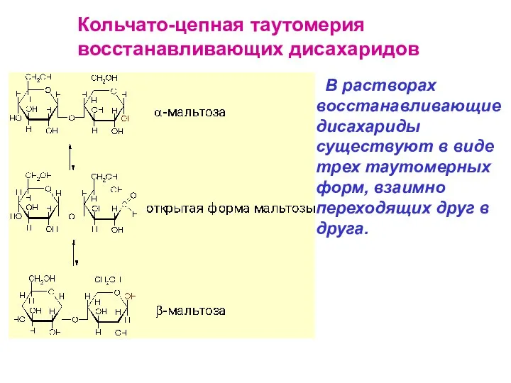 Кольчато-цепная таутомерия восстанавливающих дисахаридов В растворах восстанавливающие дисахариды существуют в виде