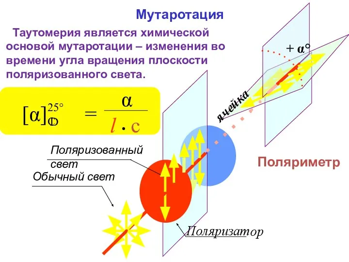 ячейка Поляриметр Таутомерия является химической основой мутаротации – изменения во времени