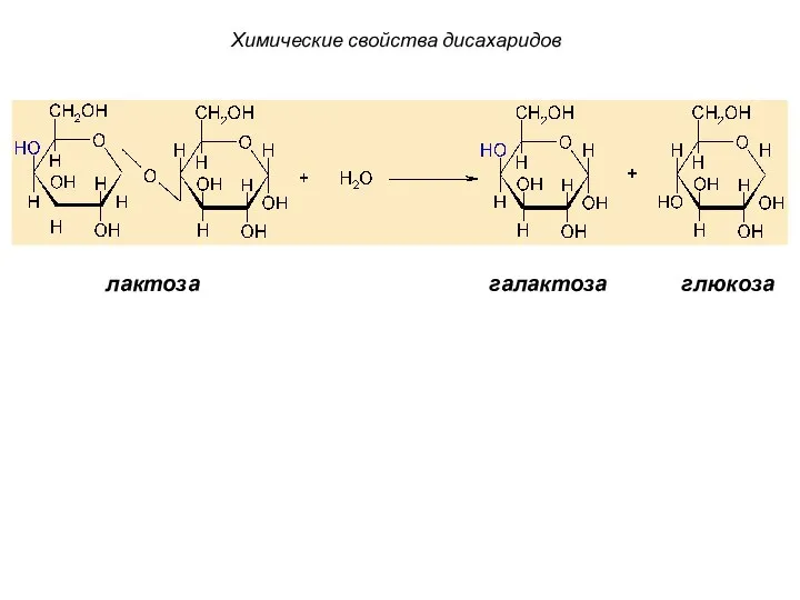 лактоза галактоза глюкоза Химические свойства дисахаридов