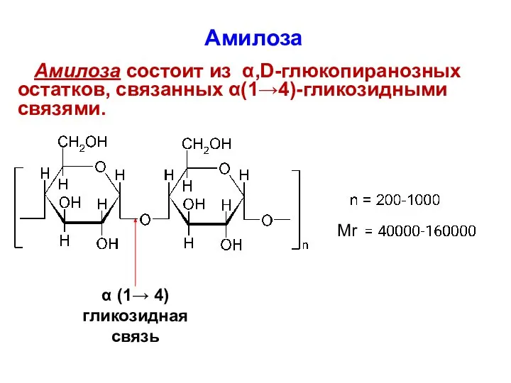 α (1→ 4) гликозидная связь Амилоза Амилоза состоит из α,D-глюкопиранозных остатков, связанных α(1→4)-гликозидными связями. Mr