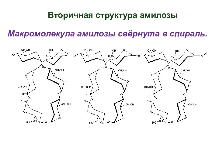 Вторичная структура амилозы Макромолекула амилозы свёрнута в спираль.