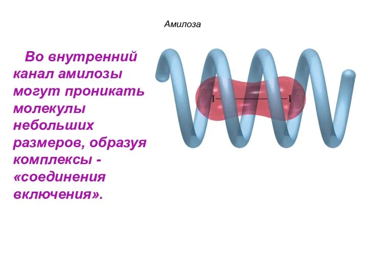 Амилоза Во внутренний канал амилозы могут проникать молекулы небольших размеров, образуя комплексы - «соединения включения».