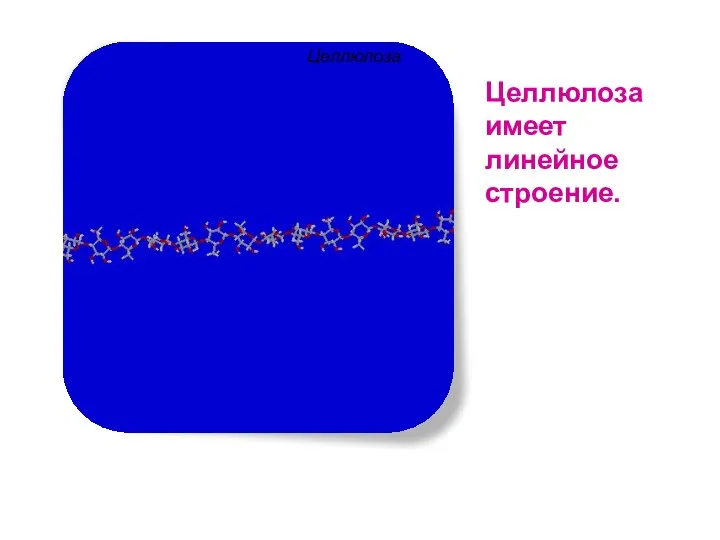 Целлюлоза Целлюлоза имеет линейное строение.