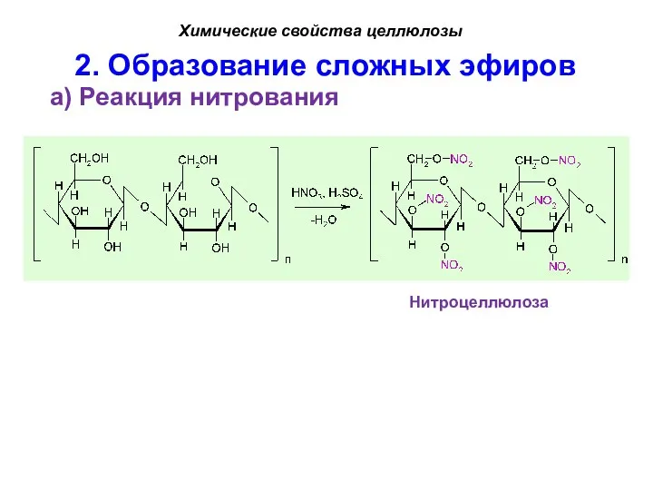 2. Образование сложных эфиров а) Реакция нитрования Химические свойства целлюлозы Нитроцеллюлоза