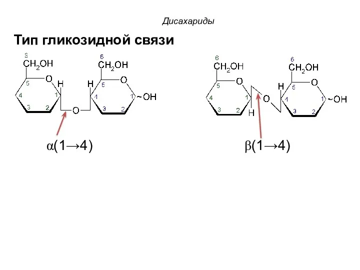 Тип гликозидной связи α(1→4) β(1→4) Дисахариды