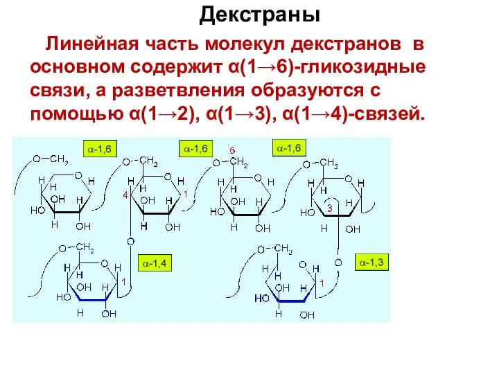 Декстраны Линейная часть молекул декстранов в основном содержит α(1→6)-гликозидные связи, а