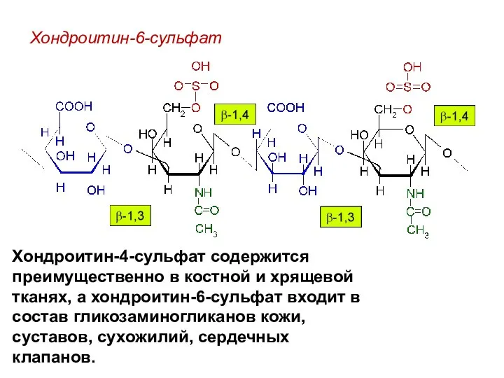 Хондроитин-6-сульфат Хондроитин-4-сульфат содержится преимущественно в костной и хрящевой тканях, а хондроитин-6-сульфат