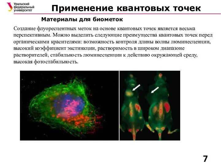 Применение квантовых точек Материалы для биометок Создание флуоресцентных меток на основе