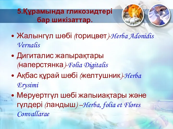 5.Құрамында гликозидтері бар шикізаттар. Жалынгүл шөбі (горицвет)-Herba Adonidis Vernalis Дигиталис жапырақтары(наперстянка)-Folia