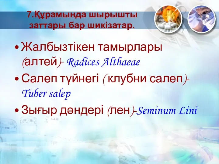 7.Құрамында шырышты заттары бар шикізатар. Жалбызтікен тамырлары (алтей)- Radices Althaeae Салеп