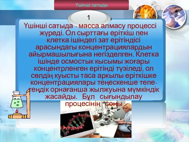 Үшінші сатыда Үшінші сатыда - масса алмасу процессі жүреді. Ол сырттағы