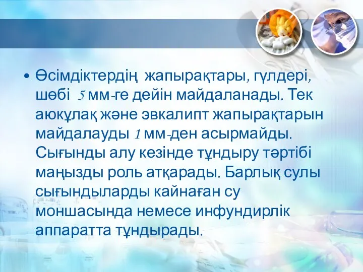 Өсімдіктердің жапырақтары, гүлдері, шөбі 5 мм-ге дейін майдаланады. Тек аюкұлақ және