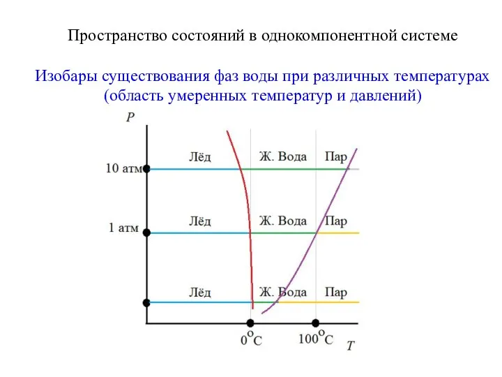 Пространство состояний в однокомпонентной системе Изобары существования фаз воды при различных