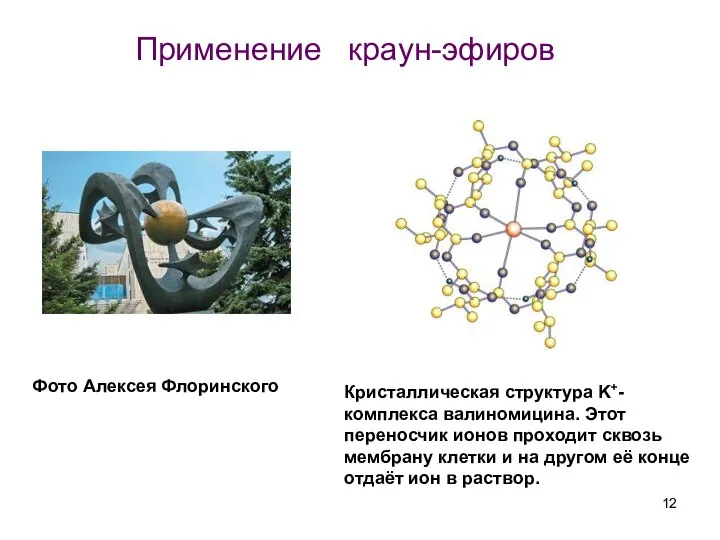 Кристаллическая структура K+-комплекса валиномицина. Этот переносчик ионов проходит сквозь мембрану клетки