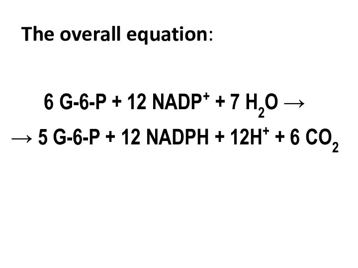 The overall equation: 6 G-6-P + 12 NADP+ + 7 H2O