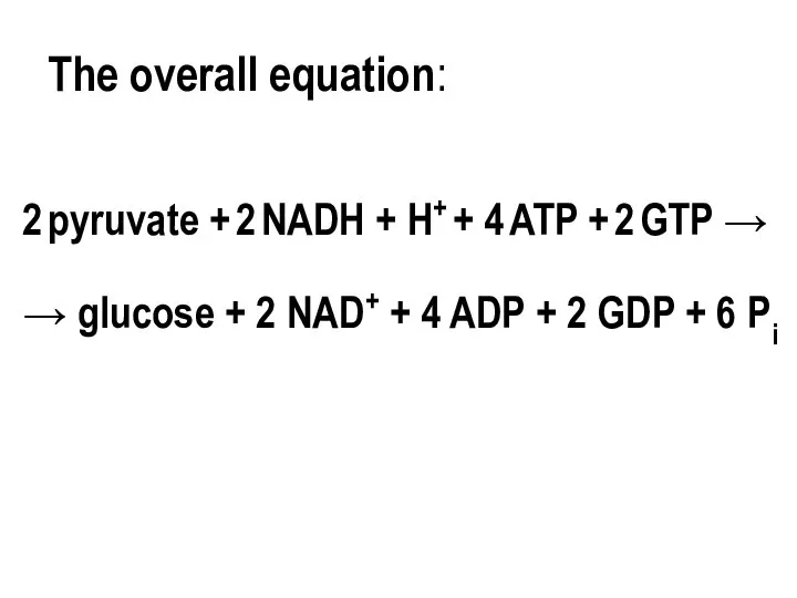 The overall equation: 2 pyruvate + 2 NADH + H+ +