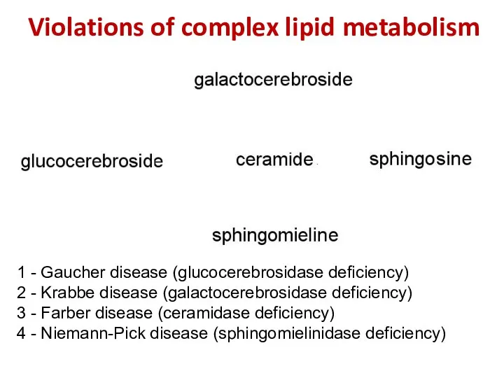 Violations of complex lipid metabolism 4 3 2 1 1 -