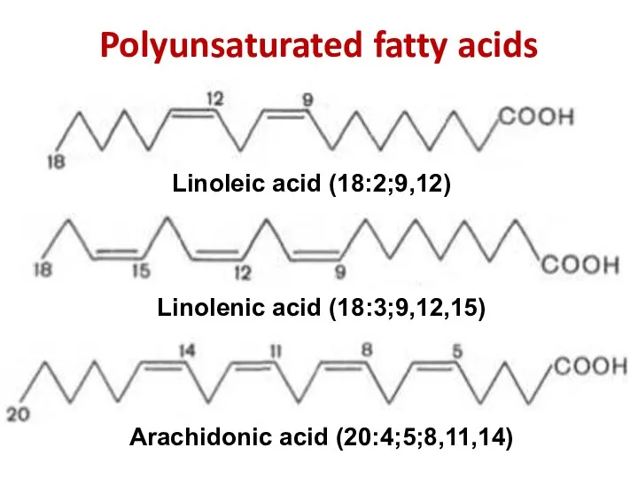 Polyunsaturated fatty acids Linoleic acid (18:2;9,12) Linolenic acid (18:3;9,12,15) Arachidonic acid (20:4;5;8,11,14)