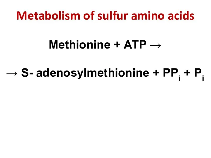 Metabolism of sulfur amino acids Methionine + АТP → → S- adenosylmethionine + РРi + Рi