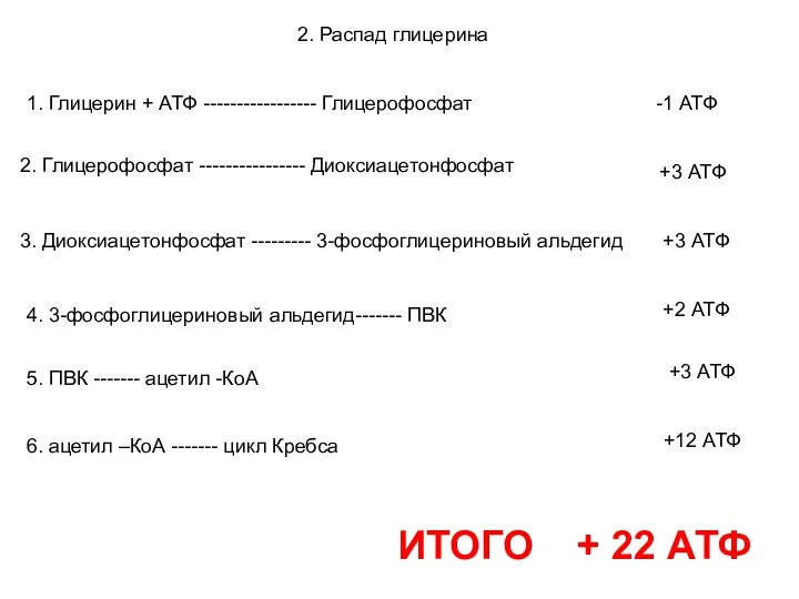 2. Распад глицерина 1. Глицерин + АТФ ----------------- Глицерофосфат -1 АТФ