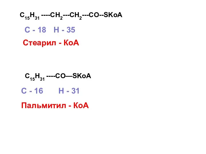 C15H31 ----CH2---CH2---CO--SKoA Стеарил - КоА С - 18 H - 35