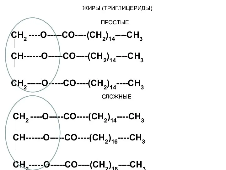 ЖИРЫ (ТРИГЛИЦЕРИДЫ) ПРОСТЫЕ CH2 ----O-----CO----(CH2)14----CH3 CH------O-----CO----(CH2)14----CH3 CH2-----O-----CO----(CH2)14----CH3 CH2 ----O-----CO----(CH2)14----CH3 CH------O-----CO----(CH2)16----CH3 CH2-----O-----CO----(CH2)18----CH3 СЛОЖНЫЕ