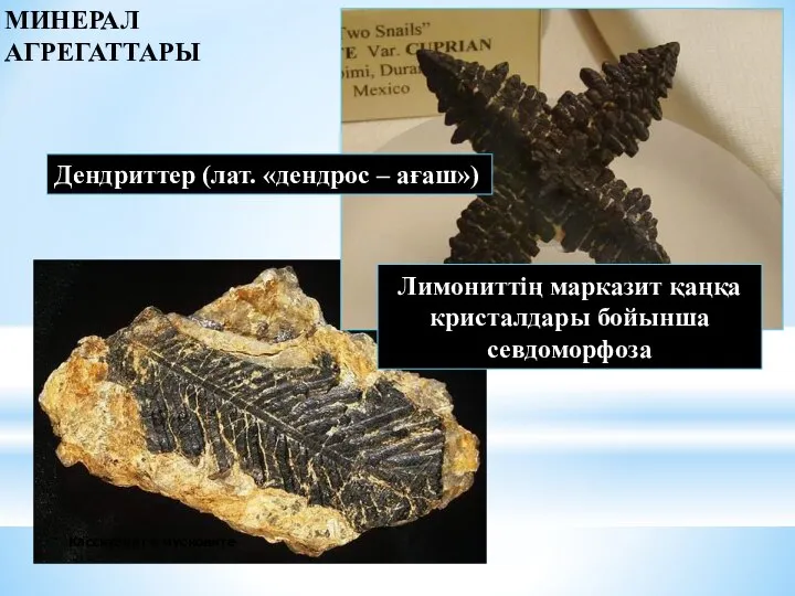 Касситерит в мусковите Лимониттің марказит қаңқа кристалдары бойынша севдоморфоза Дендриттер (лат. «дендрос – ағаш») МИНЕРАЛ АГРЕГАТТАРЫ