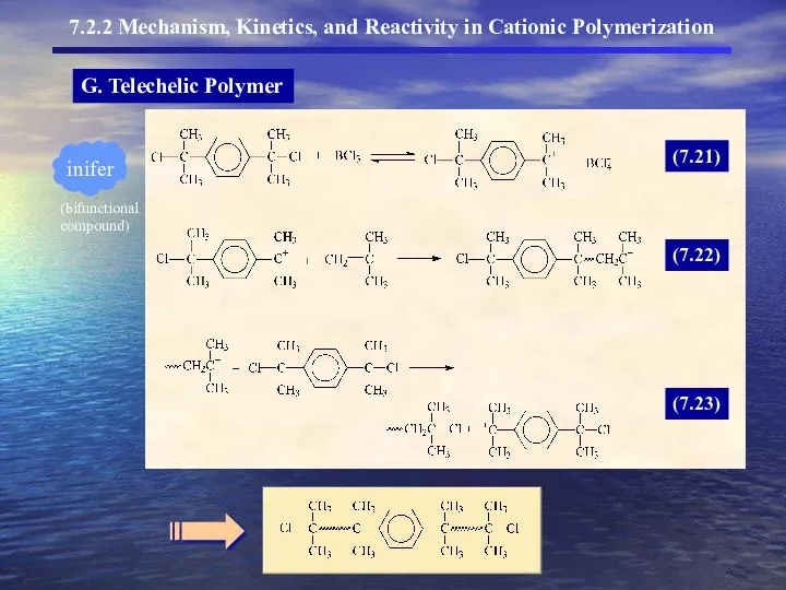 G. Telechelic Polymer