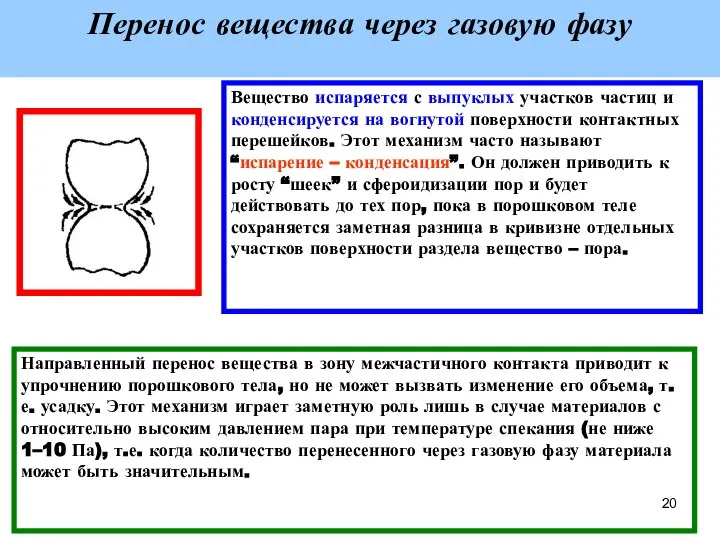 Перенос вещества через газовую фазу Вещество испаряется с выпуклых участков частиц