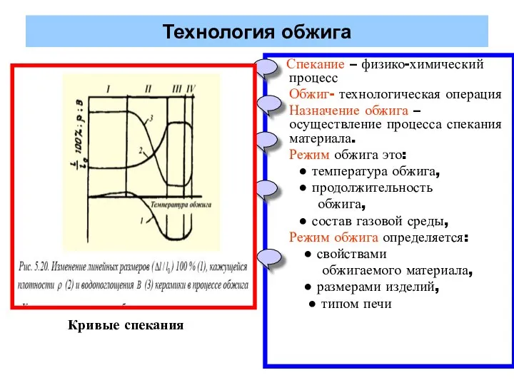 Технология обжига Спекание – физико-химический процесс Обжиг- технологическая операция Назначение обжига