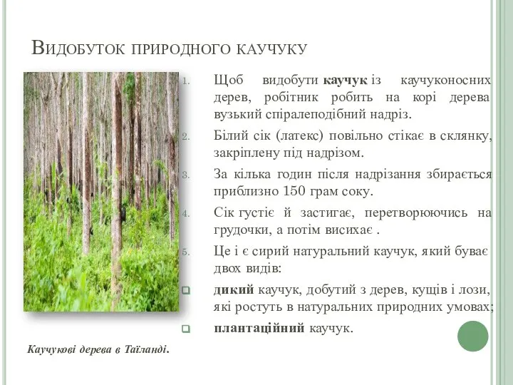 Видобуток природного каучуку Щоб видобути каучук із каучуконосних дерев, робітник робить