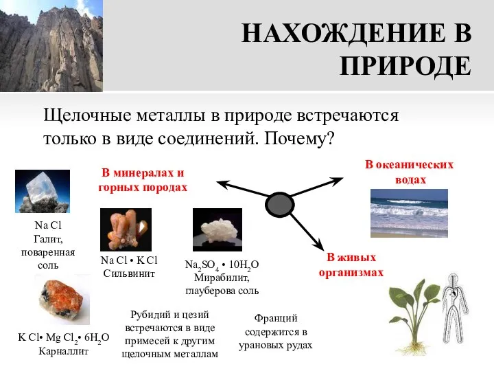 НАХОЖДЕНИЕ В ПРИРОДЕ Щелочные металлы в природе встречаются только в виде