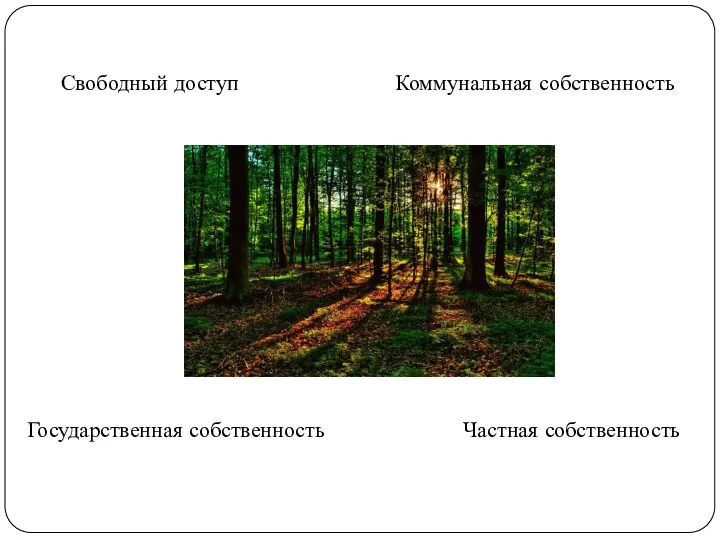 Свободный доступ Коммунальная собственность Государственная собственность Частная собственность