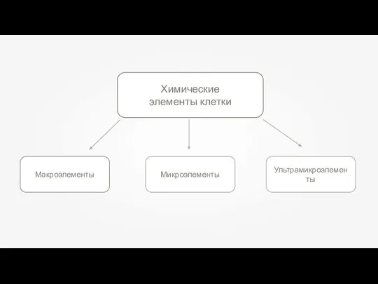 Химические элементы клетки