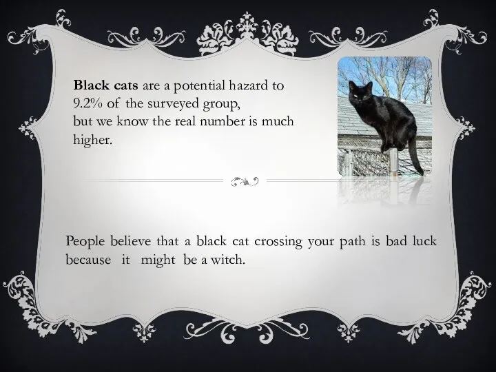 People believe that a black cat crossing your path is bad