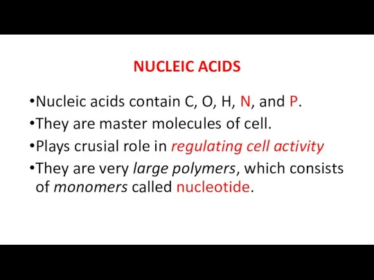 NUCLEIC ACIDS Nucleic acids contain C, O, H, N, and P.