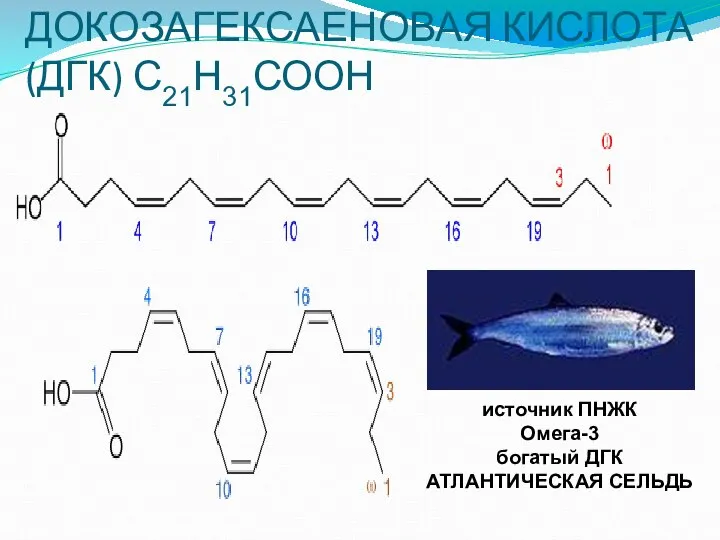 ДОКОЗАГЕКСАЕНОВАЯ КИСЛОТА (ДГК) С21Н31СООН источник ПНЖК Омега-3 богатый ДГК АТЛАНТИЧЕСКАЯ СЕЛЬДЬ