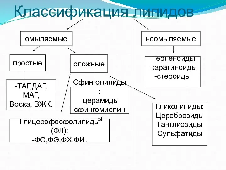 Классификация липидов омыляемые неомыляемые -терпеноиды -каратиноиды -стероиды простые сложные -ТАГ,ДАГ,МАГ, Воска,