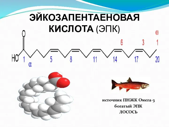 ЭЙКОЗАПЕНТАЕНОВАЯ КИСЛОТА (ЭПК) источник ПНЖК Омега-3 богатый ЭПК ЛОСОСЬ