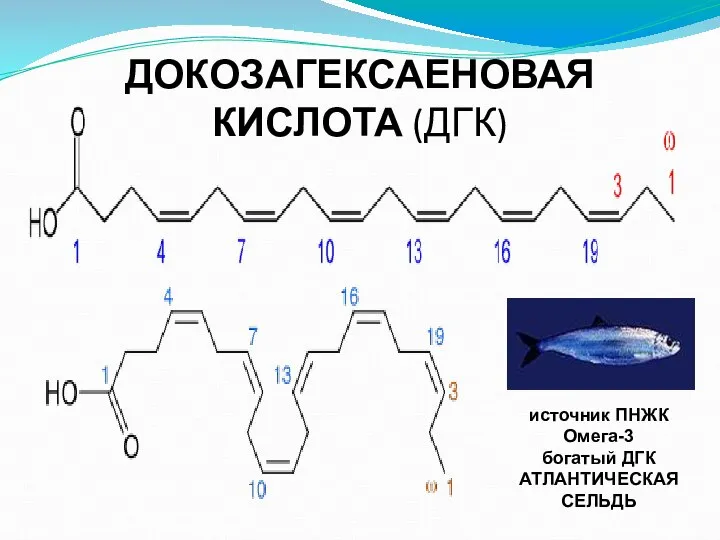 ДОКОЗАГЕКСАЕНОВАЯ КИСЛОТА (ДГК) источник ПНЖК Омега-3 богатый ДГК АТЛАНТИЧЕСКАЯ СЕЛЬДЬ