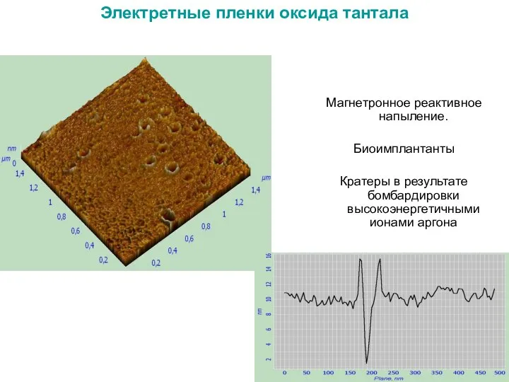 Электретные пленки оксида тантала Магнетронное реактивное напыление. Биоимплантанты Кратеры в результате бомбардировки высокоэнергетичными ионами аргона