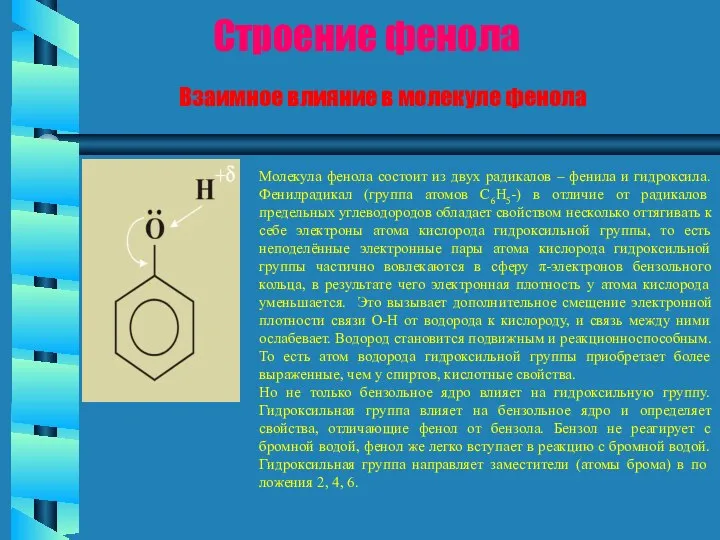 Молекула фенола состоит из двух радикалов – фенила и гидроксила. Фенилрадикал