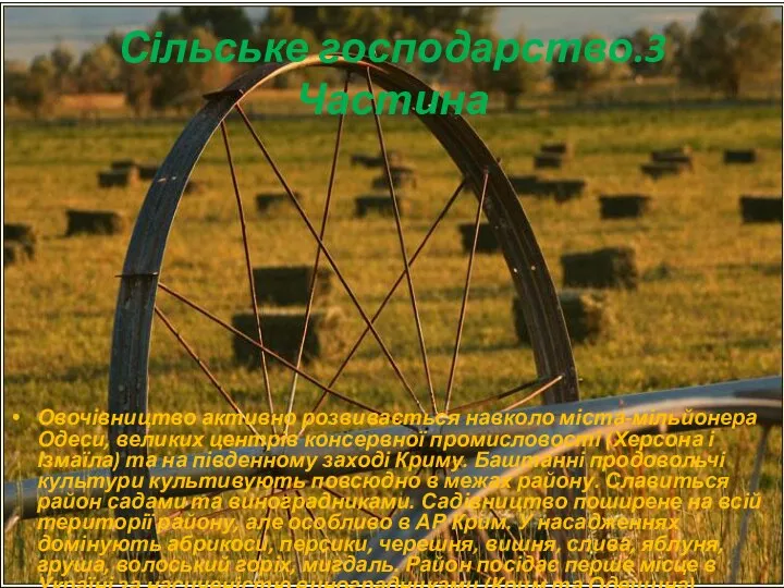 Овочівництво активно розвивається навколо міста-мільйонера Одеси, великих центрів консервної промисловості (Херсона